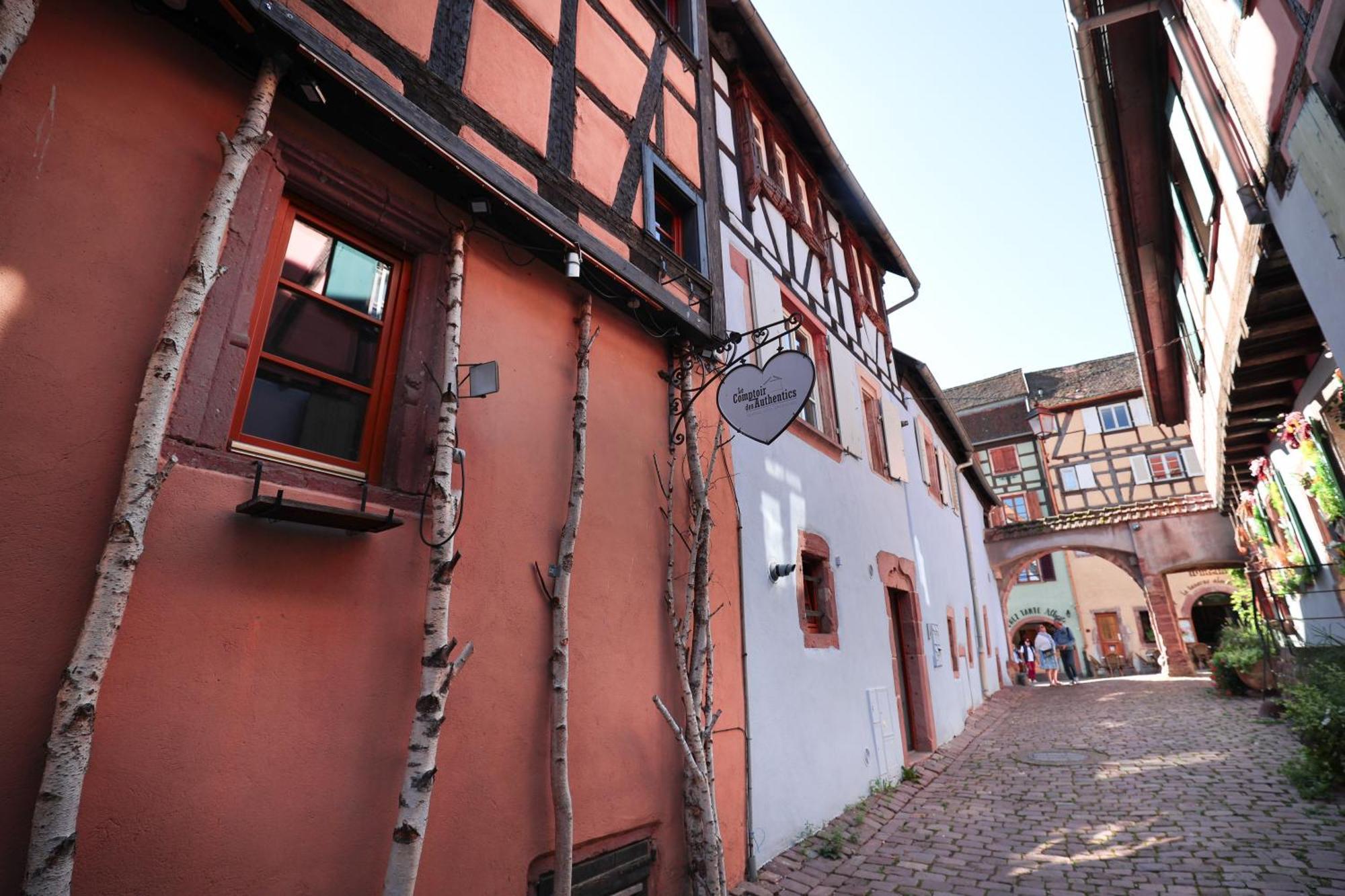 Les Authentics - La Maison D'amelie Appartement Riquewihr